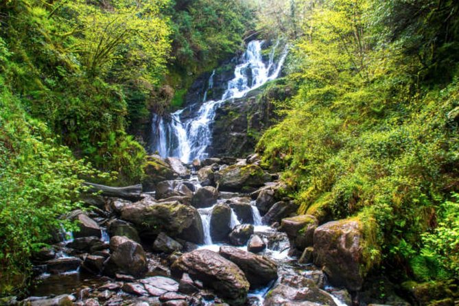 Wicklow Mountains & Glendalough Luxury Private Day Tour - Glendalough monastic settlement: St. Kevin and the Valley of 2 Lakes