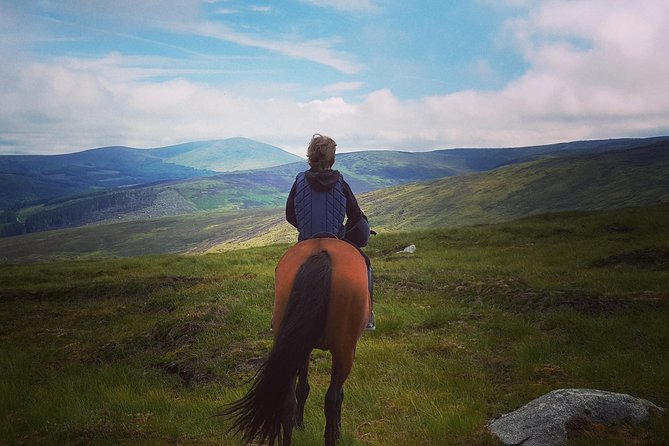 Wicklow Mountains Horse Trekking - Key Highlights You Should Know