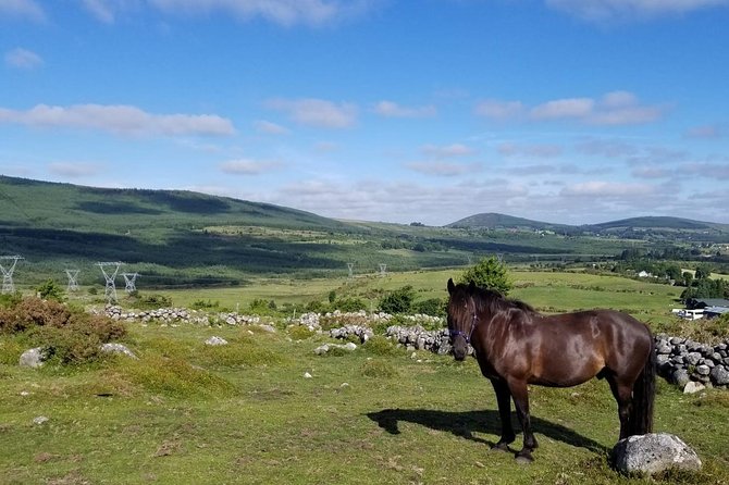 Wicklow Mountains Horse Trekking - Hollywood Horse and Pony Trekking, Bishopsland start point
