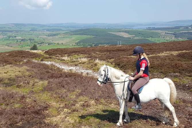 Wicklow Mountains Horse Trekking - Lake time on the property, plus walking and cantering moments