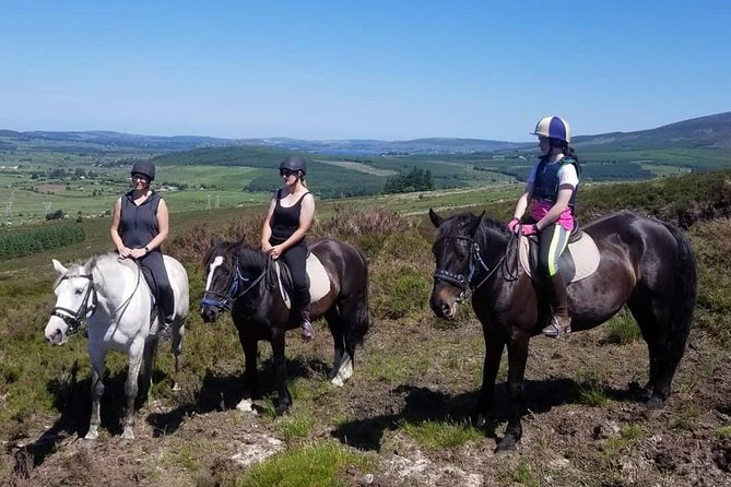 Wicklow Mountains Horse Trekking - Guides like Ray, Lisa, Nicole, and Jack, and horses that do their job