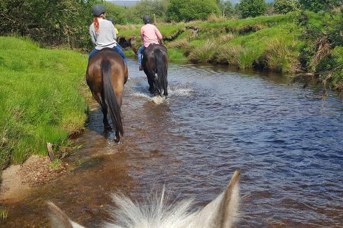 Wicklow Mountains Horse Trekking - Price of $90.70 per person, and why it can feel fair