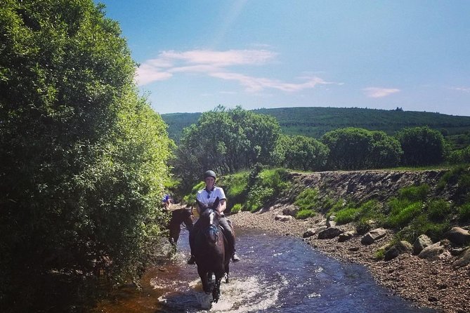 Wicklow Mountains Horse Trekking - Weather in Wicklow: plan for rain, and know what happens if it cancels