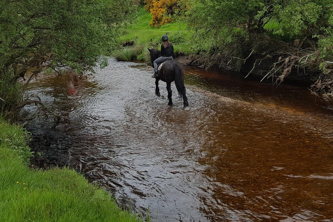 Wicklow Mountains Horse Trekking - The short riding lesson that turns nerves into confidence
