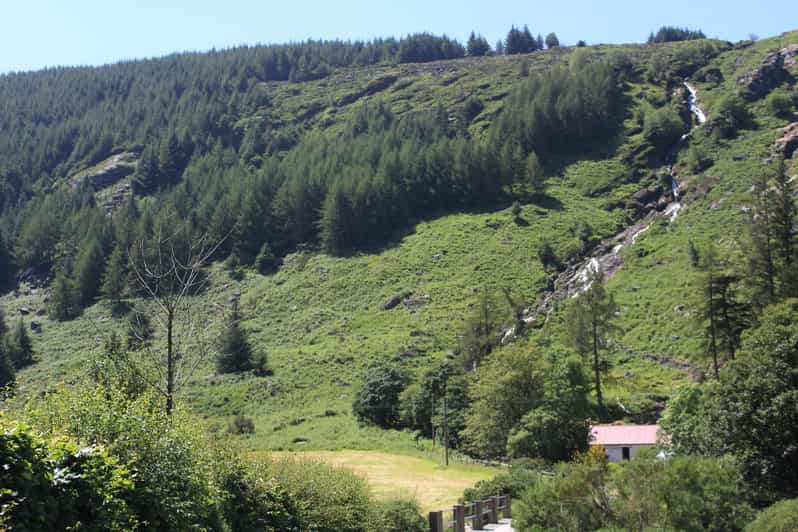 Wicklow Mountains Private Day Tour including Glendalough - Sally Gap, Lough Tay, And the Guinness Estate Area