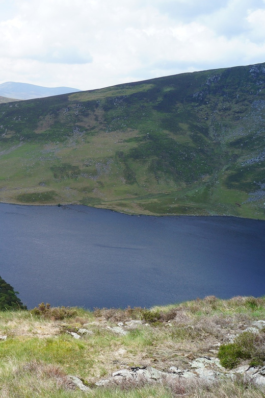 Wicklow Mountains Private Day Tour including Glendalough - Lunch in a Traditional Irish Pub, Plan Your Comfort Food Order