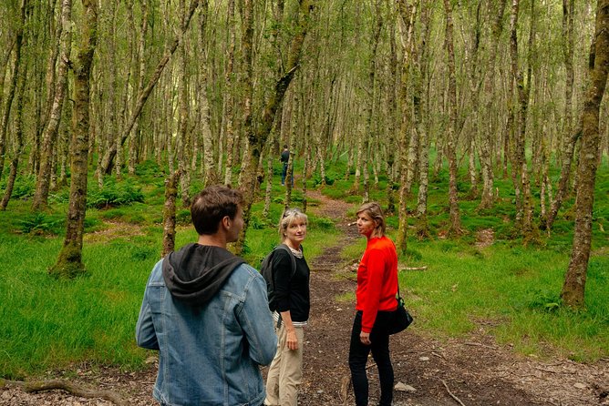 Wicklow Mountains Private Day Trip from Dublin - Powerscourt Waterfall at the Estate: Worth It If You Want the Big Moment