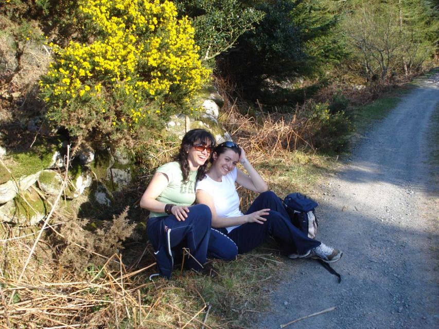 Wicklow: Private Day Tour from Dublin - Key highlights to look for