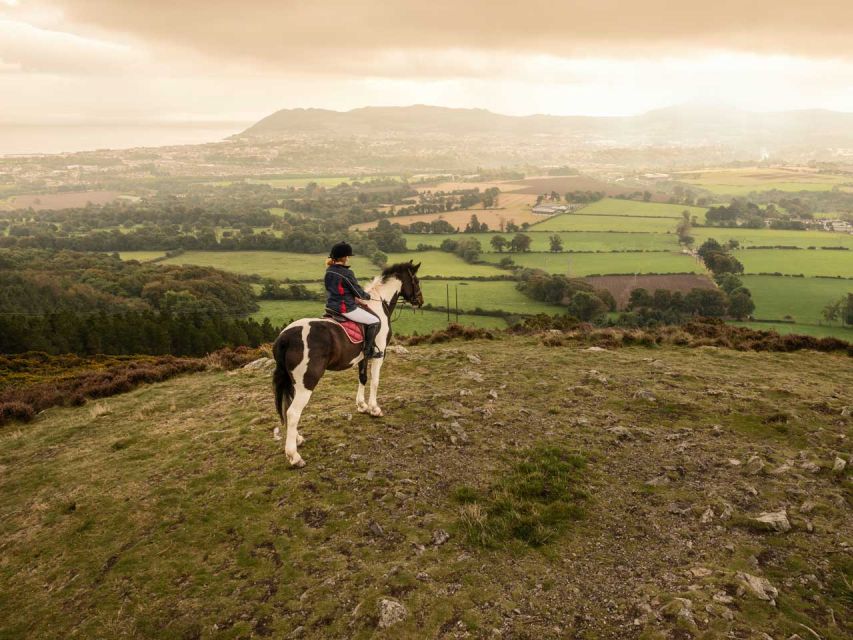 Wicklow: Private Day Tour from Dublin - Film and TV locations around Wicklow: seeing the movies in real life