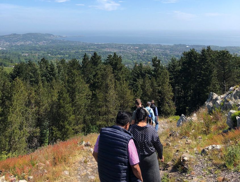 Wicklow: Private Day Tour from Dublin - Price and value: $658 per group up to 8, what that really buys