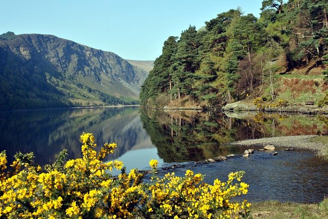 Wicklow tour of Glendalough - Who this tour suits best, and who might want a different plan